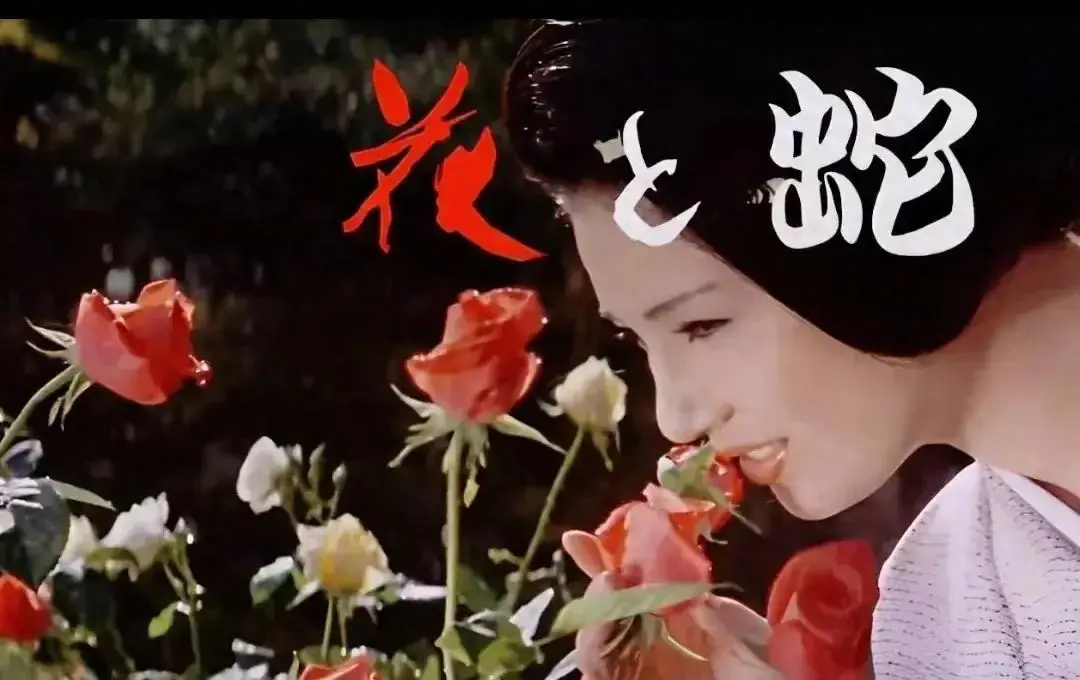 《花与蛇3：白衣绳奴》日本电影完整版在线观看 - 1080P高清无删减 - 国语中文字幕免费播放
