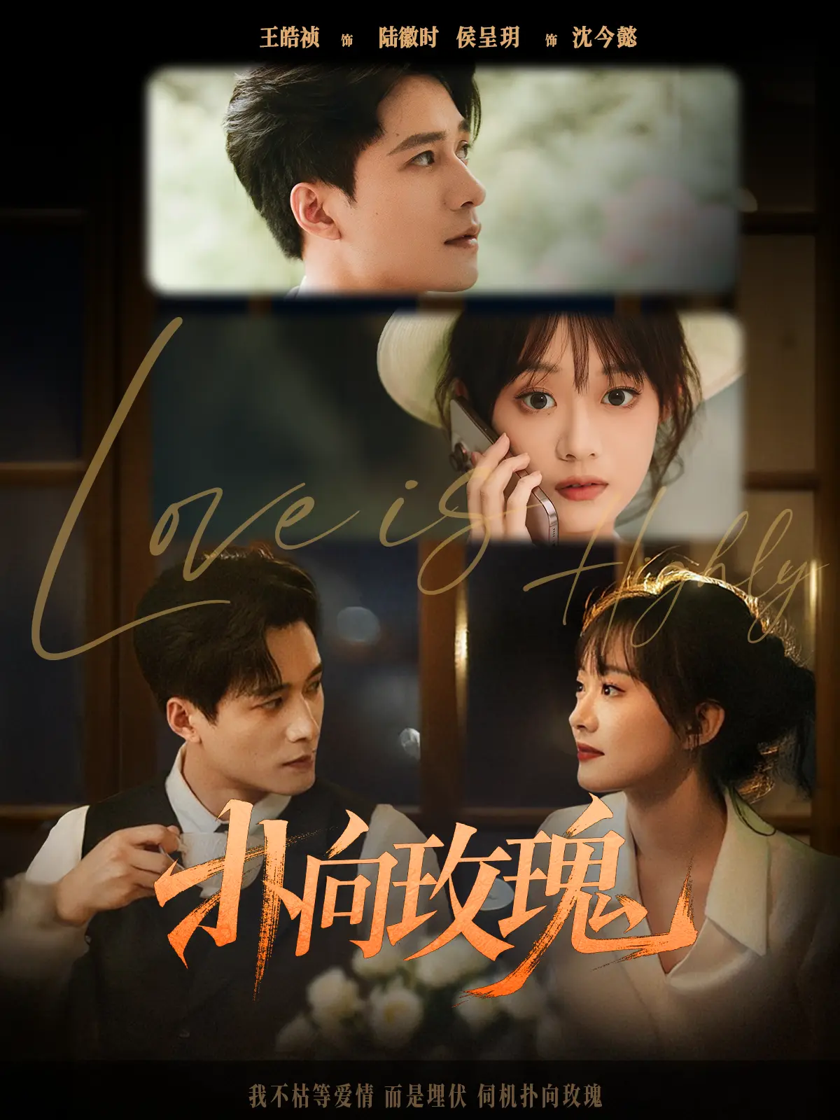 《扑向玫瑰》77集完整版短剧-热门爱情剧免费在线观看-百度云夸克网盘高清资源分享下载