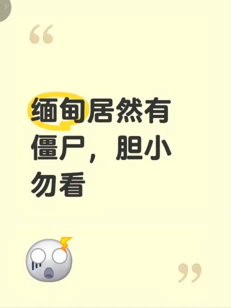 缅甸僵尸出土事件高清完整版在线观看 - 揭秘缅北神秘事件真相无删减 - 《缅甸僵尸出土事件》全网资源免费播放