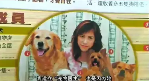 《女人与狗》未删减完整版HD在线播放-欧美电影《女人与狗》1080P高清中字免费看-无缓冲流畅体验夸克网盘资源