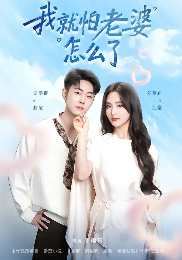 《我就怕老婆怎么了》全88集完整版-刘浩群刘蔓莉主演短剧1080P高清播放-无广告免费在线观看-