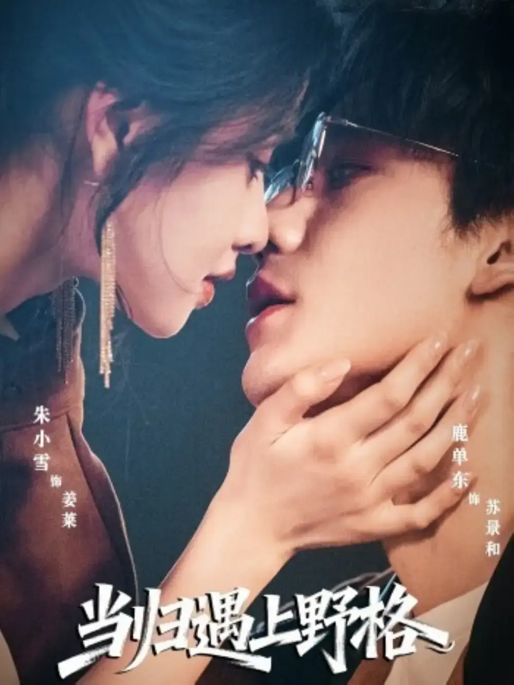 《当归遇上野格》全66集无删减版 - 1080P高清在线播放 - 热门短剧爱情之旅免费观看