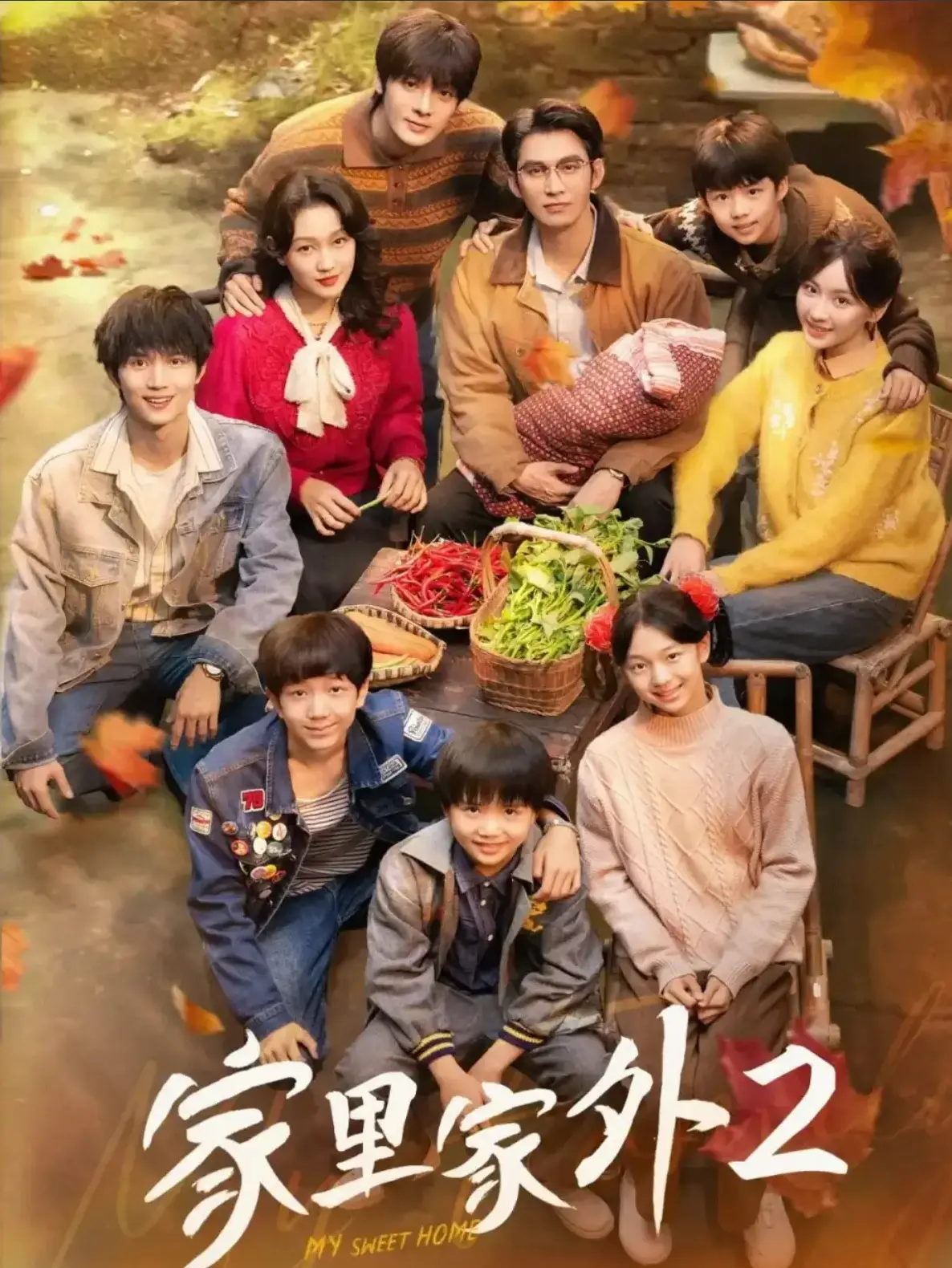《家里家外2》国产短剧全集 - 无广告流畅播放 - 大陆剧完整版免费观看