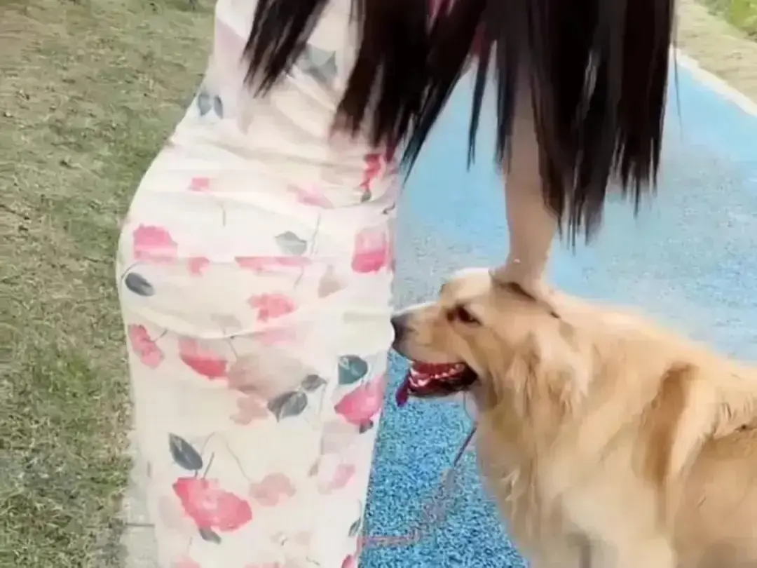 资源图片