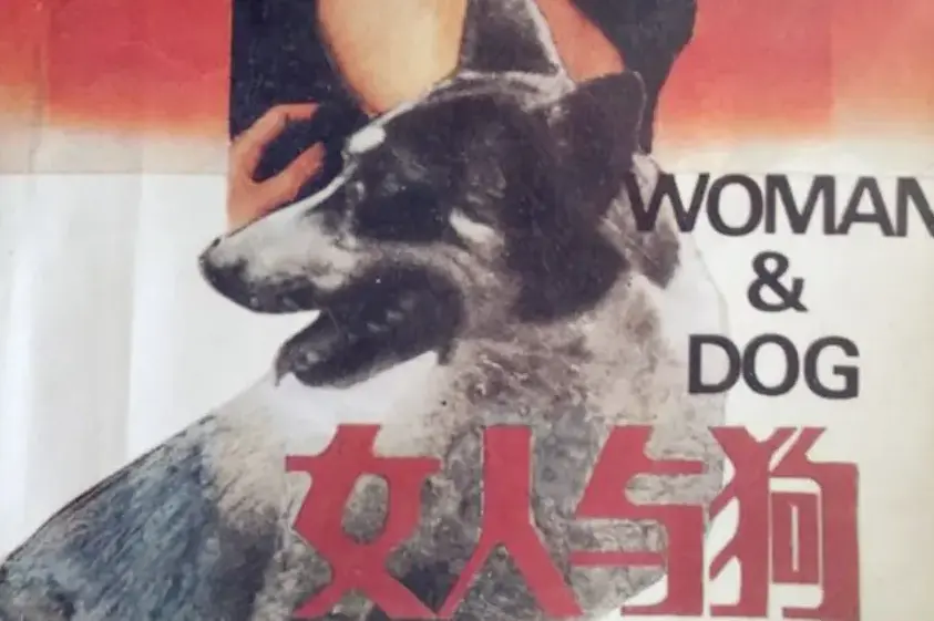 《女人与狗》HD 1080P高清完整版-欧美电影《女人与狗》无删减免费在线看-蓝光画质无广告流畅播放