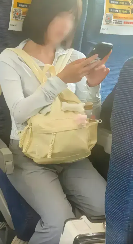 《高铁短发女孩54秒原视频》1080P超清版-高铁妹子梗全网热议-百度云资源免费下载