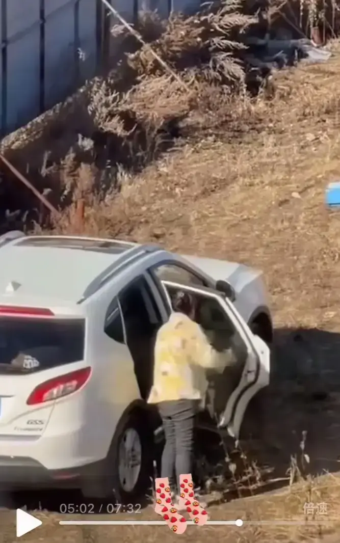 资源图片