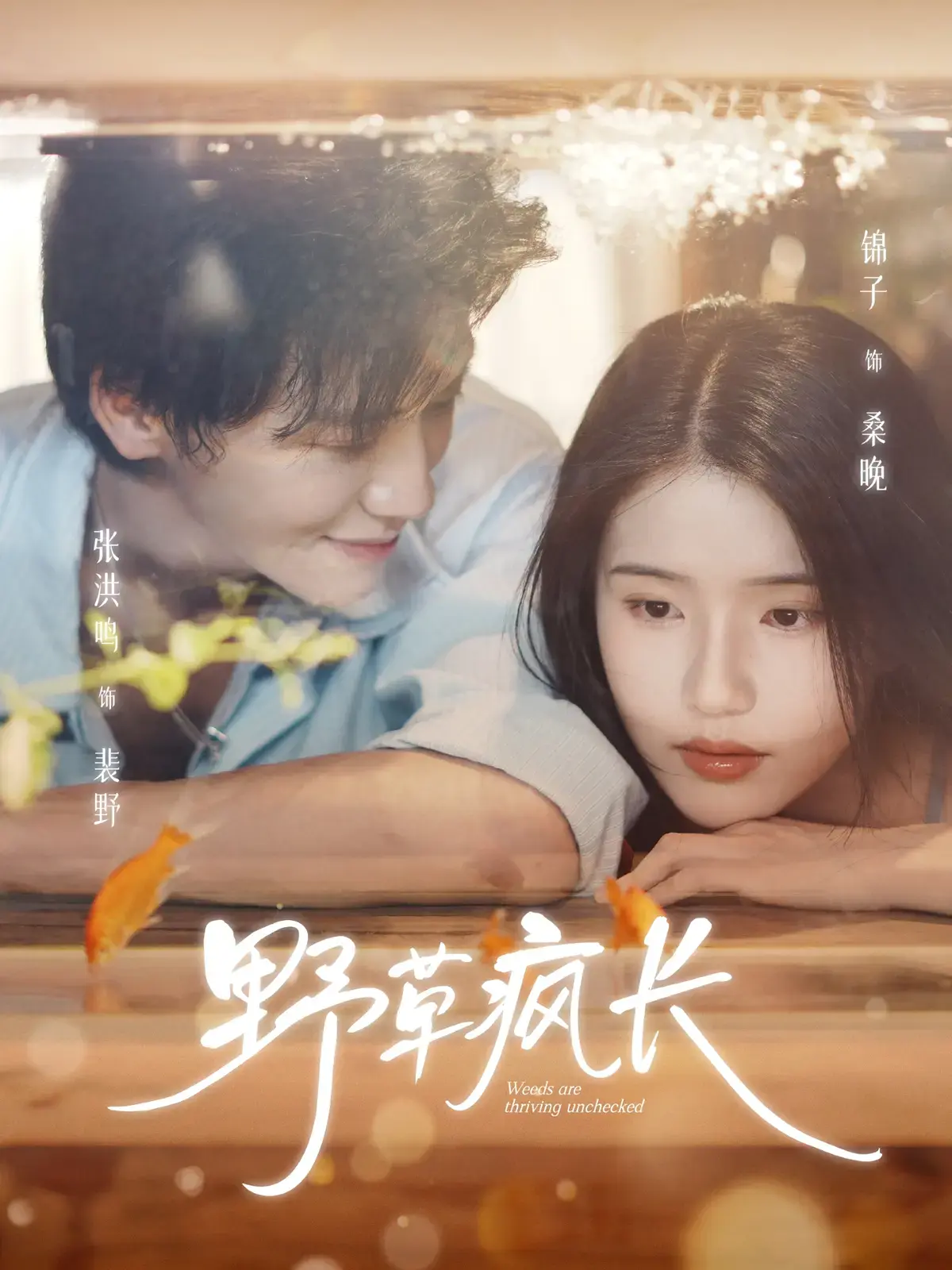 《野草疯长》全71集完整版 - 1080P高清无删减 - 新番短剧免费观看资源分享