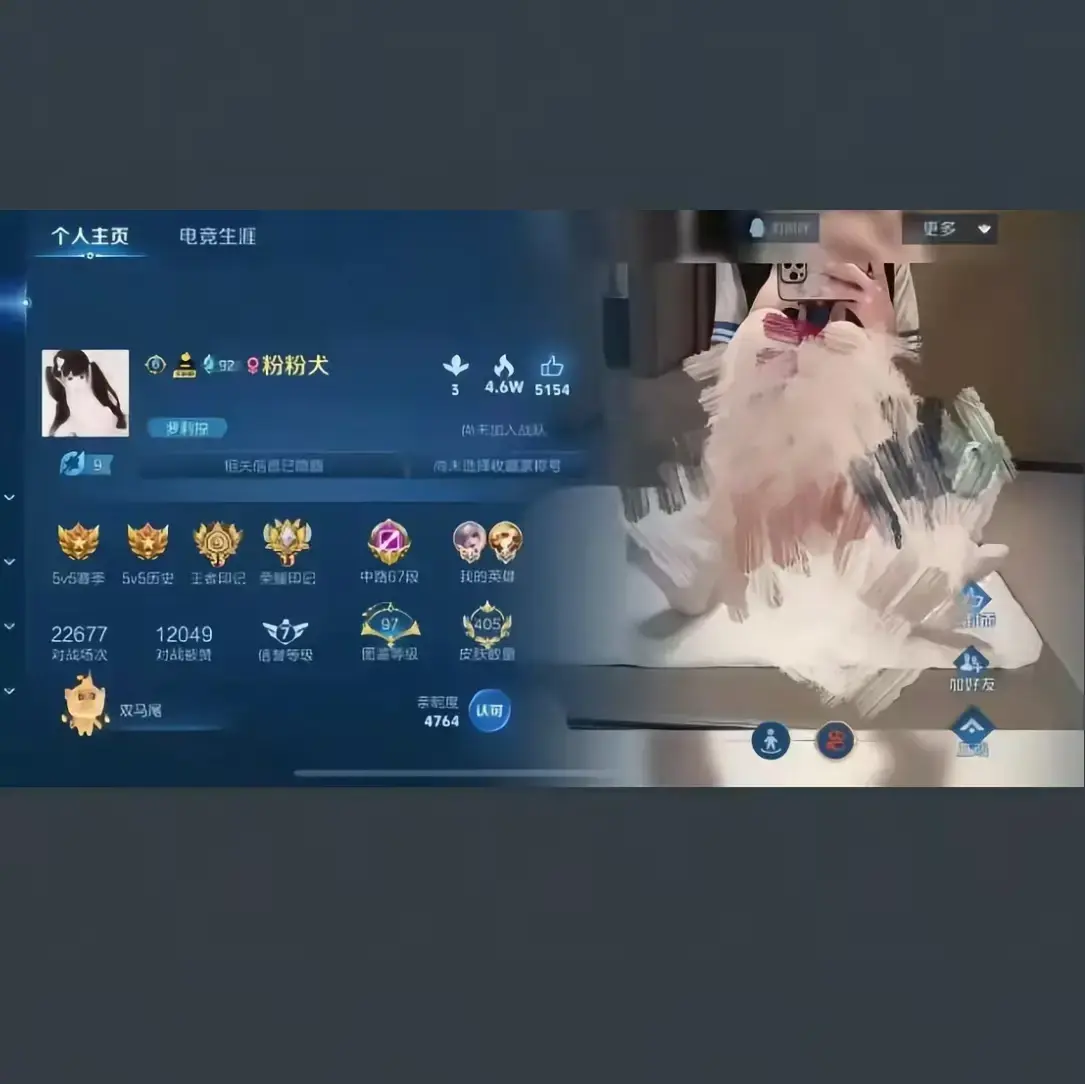 《粉粉犬王者荣耀主页》全季完整版 - 粉粉犬王者皮肤国标技巧分享 - 流星影院免费在线观看