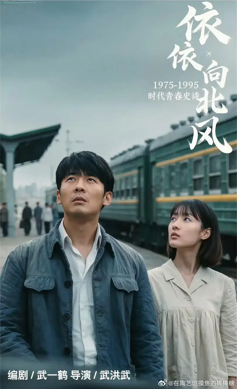 菅纫姿《依依向北风》全集高清播放-2025无删减国产剧《依依向北风》在线观看-1080P画质免费无广告看