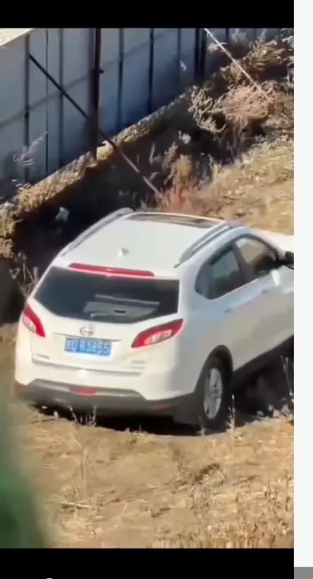资源图片