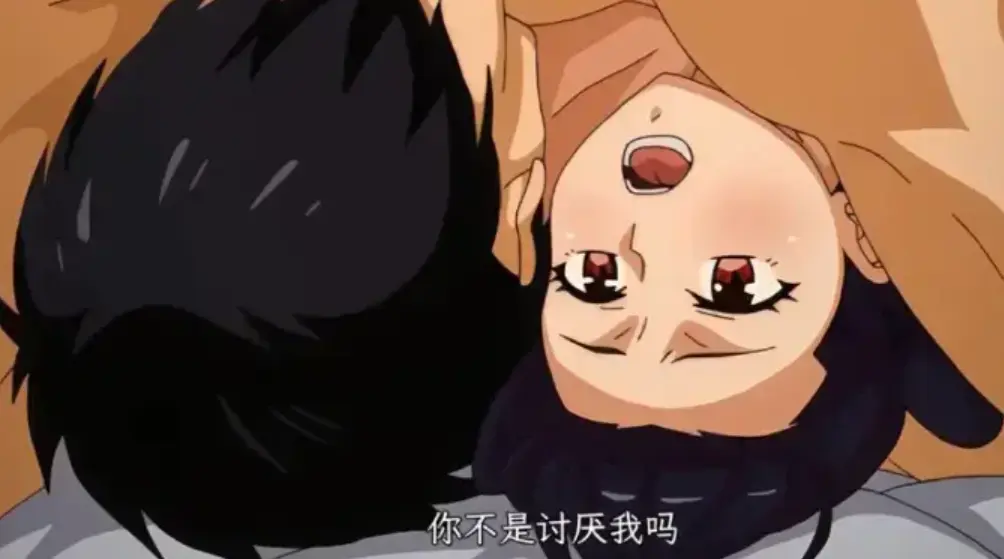 虽然不是自己的菜，与讨厌姐姐的超契合1-12集 - 完整版网盘资源 - 高清1080P在线播放 - 全程畅看无卡顿