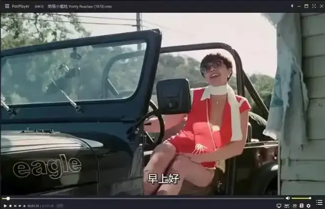 《美丽小蜜桃》未删减版在线播放-高清中字完整版免费观看-1978年美国喜剧电影《美丽小蜜桃》HD资源