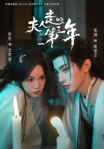 《夫人走的第三年》高清在线播放全集-夫人走的第三年无删减完整版免费看-无广告HD画质1080P