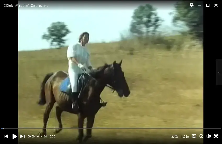 热带诱惑烈情母驹HD中字未删减版高清全集在线观看 - Selen主演Puledra in Calore完整版迅雷夸克网盘免费资源
