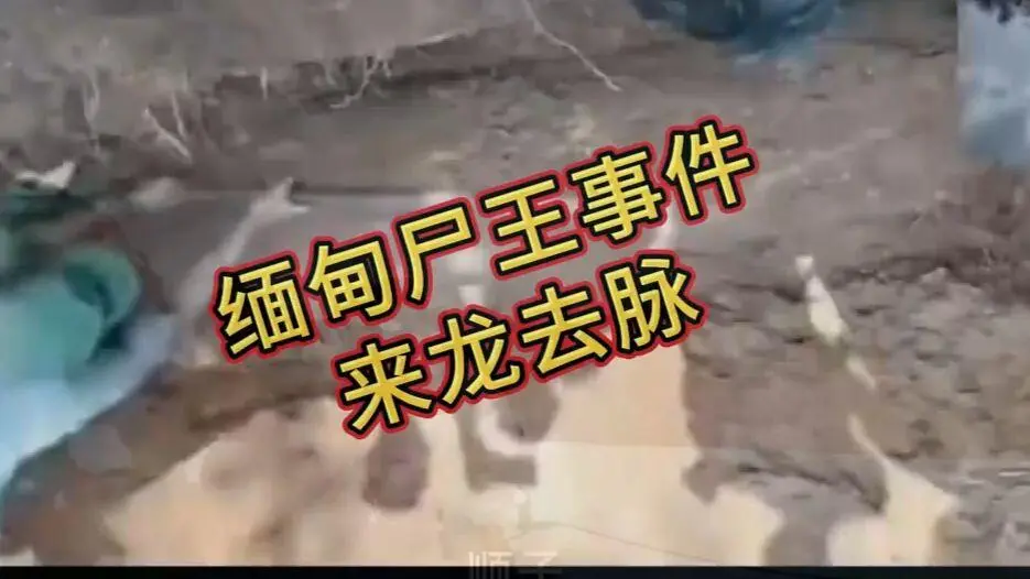 《缅甸僵尸出土事件视频》诡异真相解密-爆火视频在线观看免费播放-完整版资源高清下载-缅甸僵尸出土事件始末原视频超清未删减