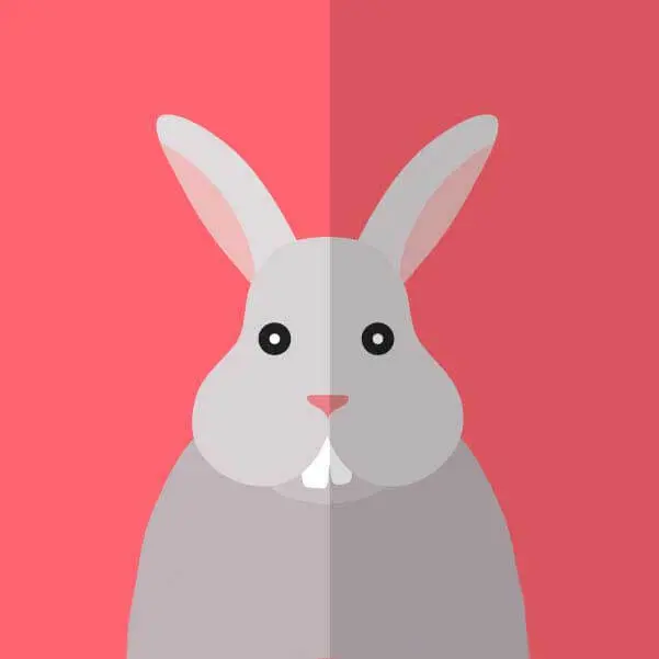 2025韩剧《性课程》全集高清完整版-性课程在线观看免费资源-1080P高清韩剧无删减版